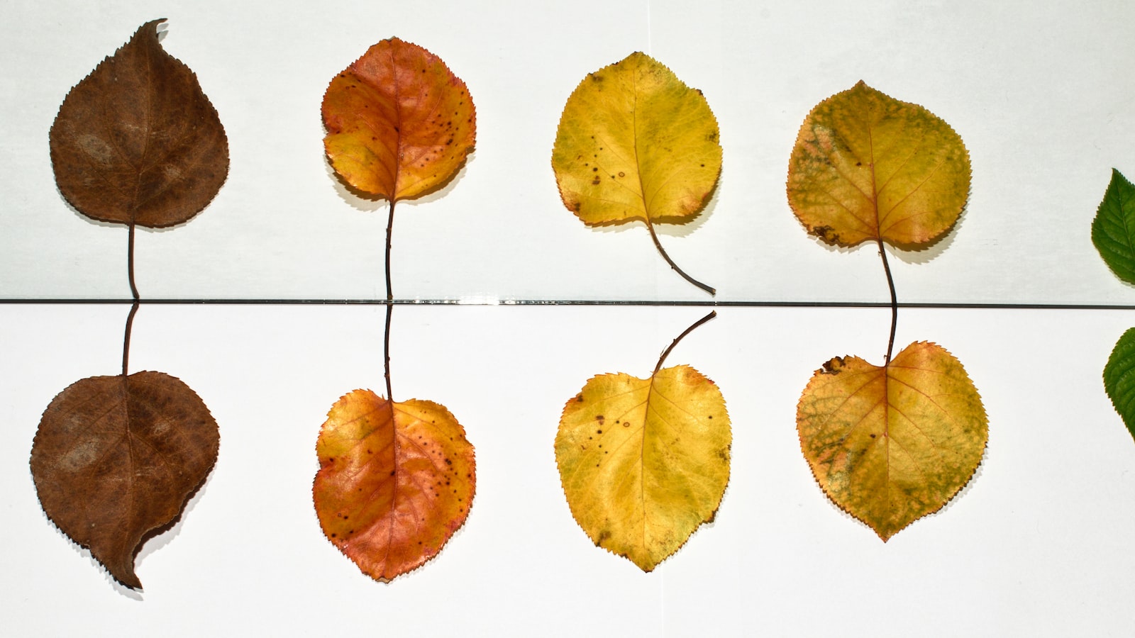 Positief opvoeden: effectieve communicatie met je kleintje